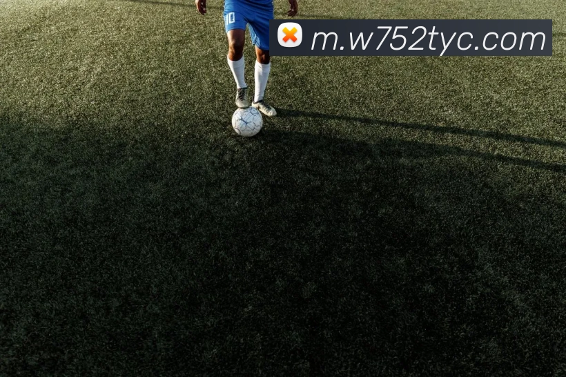 App Interface Preview
